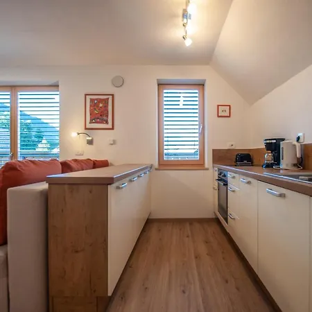 Apartment Izvir *