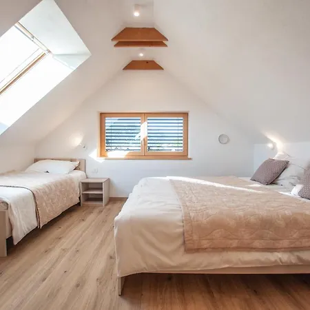 Izvir Apartment